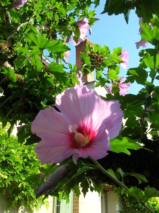 Le Petit Jardin Yoyo Hotel Monts ภายนอก รูปภาพ