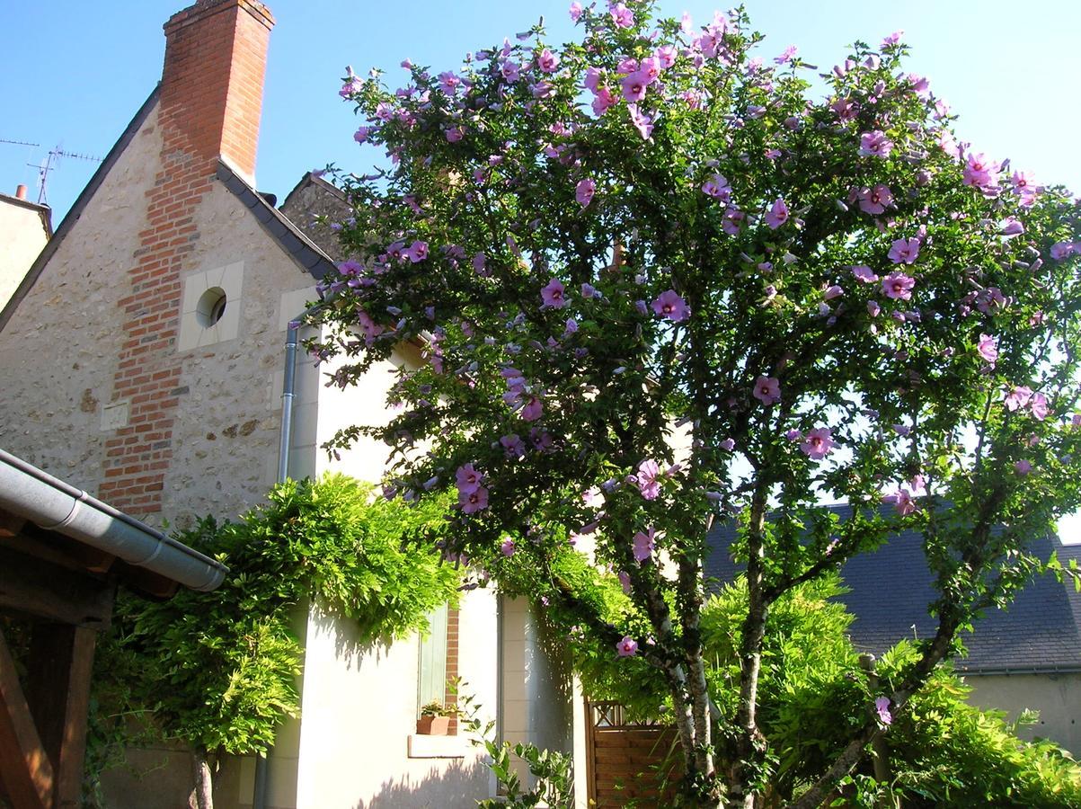 Le Petit Jardin Yoyo Hotel Monts ภายนอก รูปภาพ